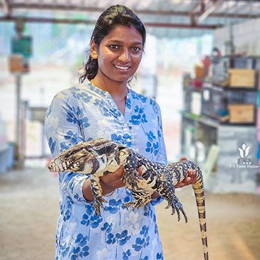 headphone